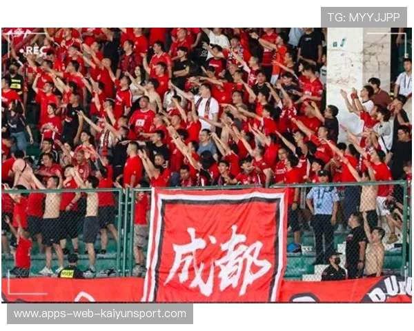 球迷文化如何影响联赛氛围,球迷问题